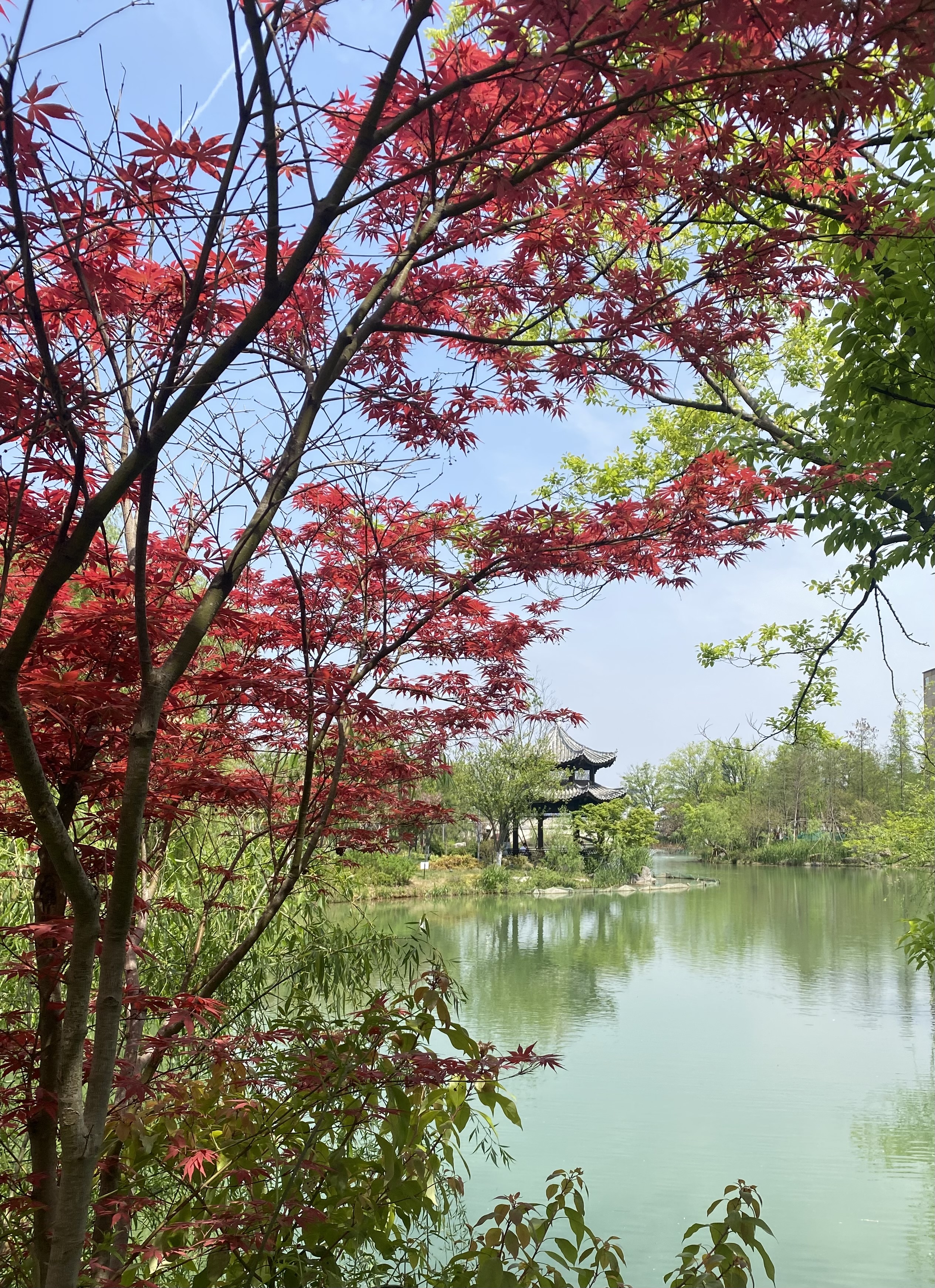 A photo of Zhejiang lab grounds showing a lake, a pagoda and some flowers
